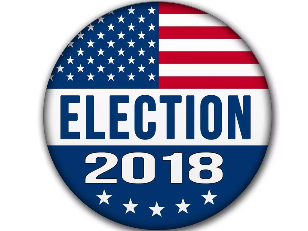 Election Day 2018 icon img